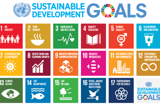 Aligning With the UN SDG’s